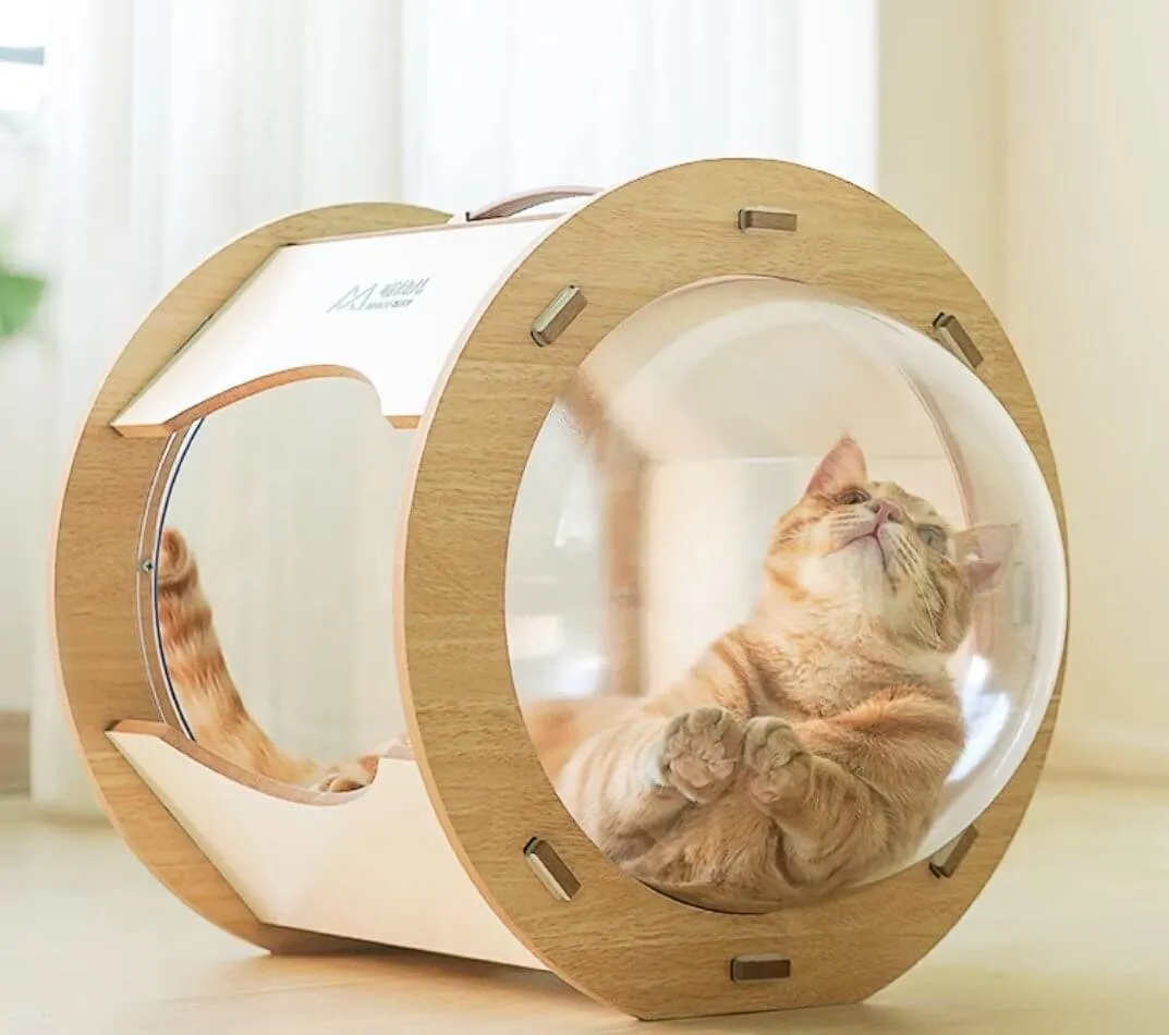 Cat Wooden Pet Bed Space Capsule with Cushion