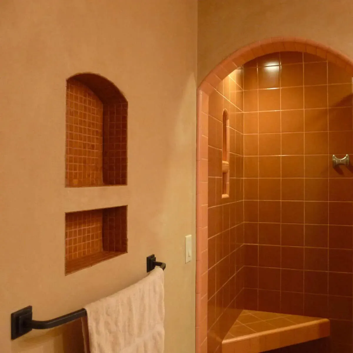 Noble Shower Niches