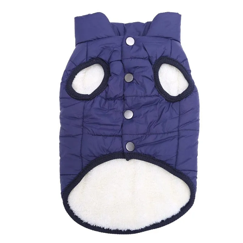 Puffer Dachshund Coat