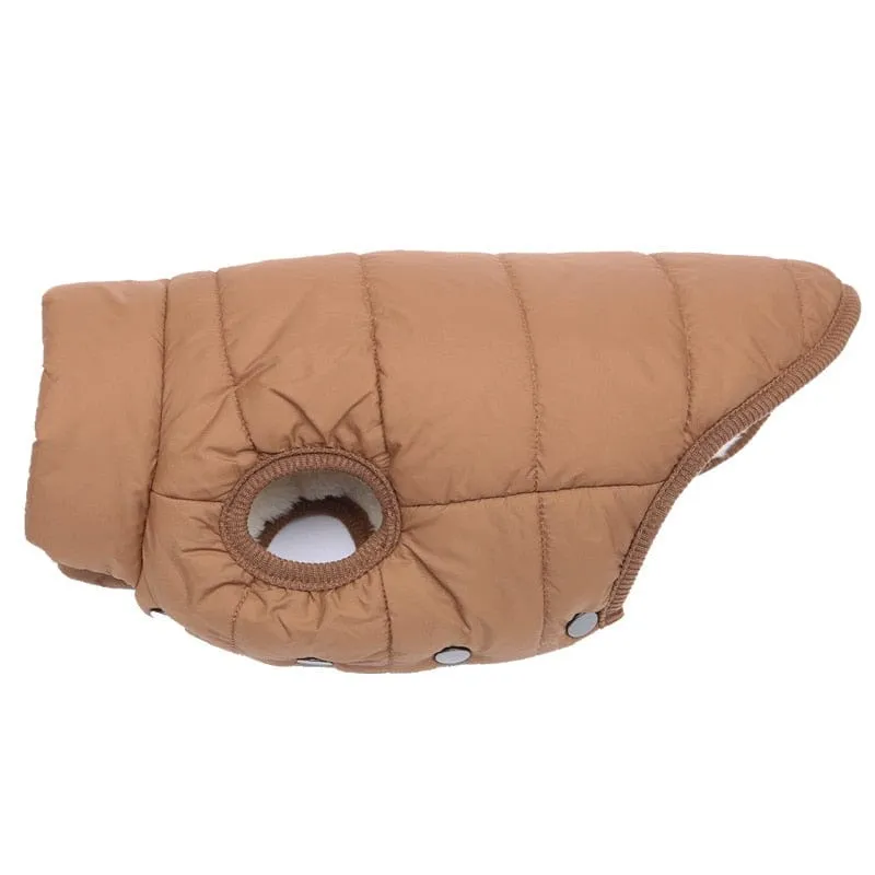 Puffer Dachshund Coat